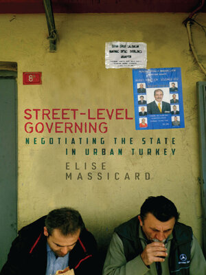 cover image of Street-Level Governing